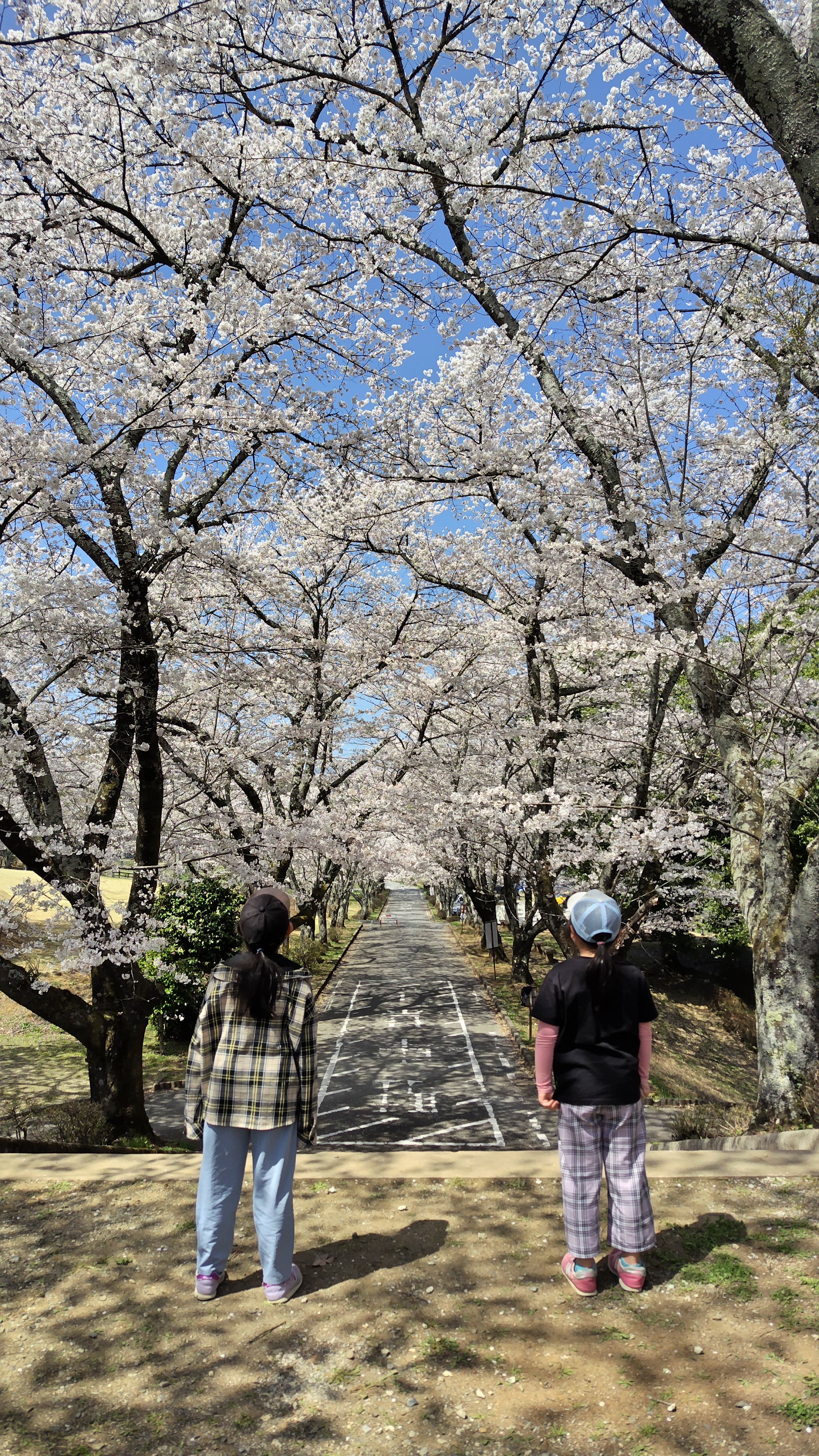 春の訪れ♬